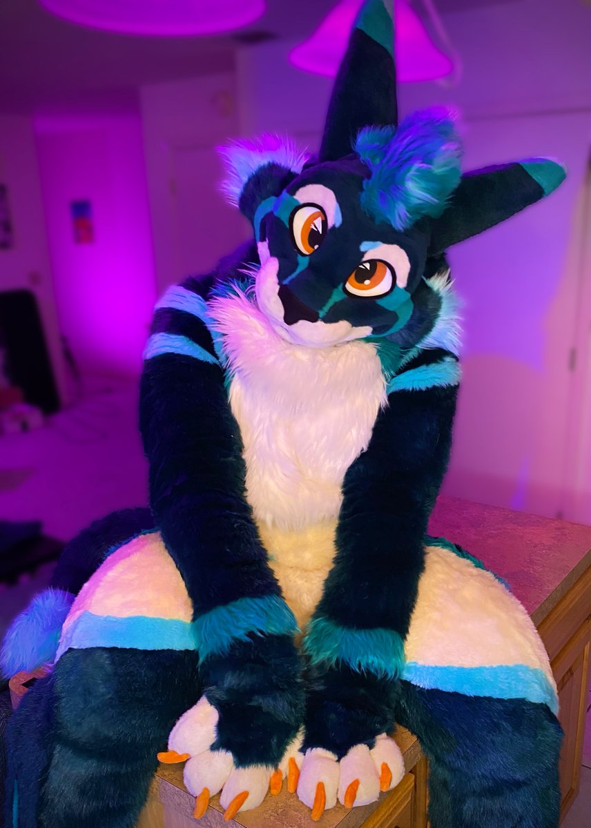 AthyLion's tweet photo. So well behaved! 

Ignore thats hes on your counter :3 https://t.co/BipcehOHv4