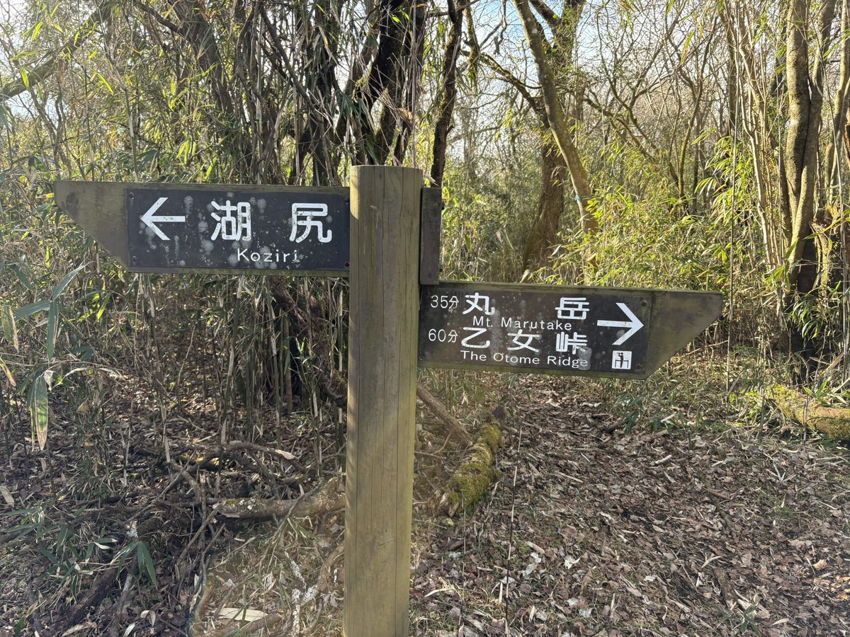しずおかQS500／JS2VVH tweet media