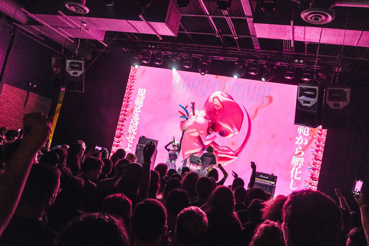 JUS. Management tweet media