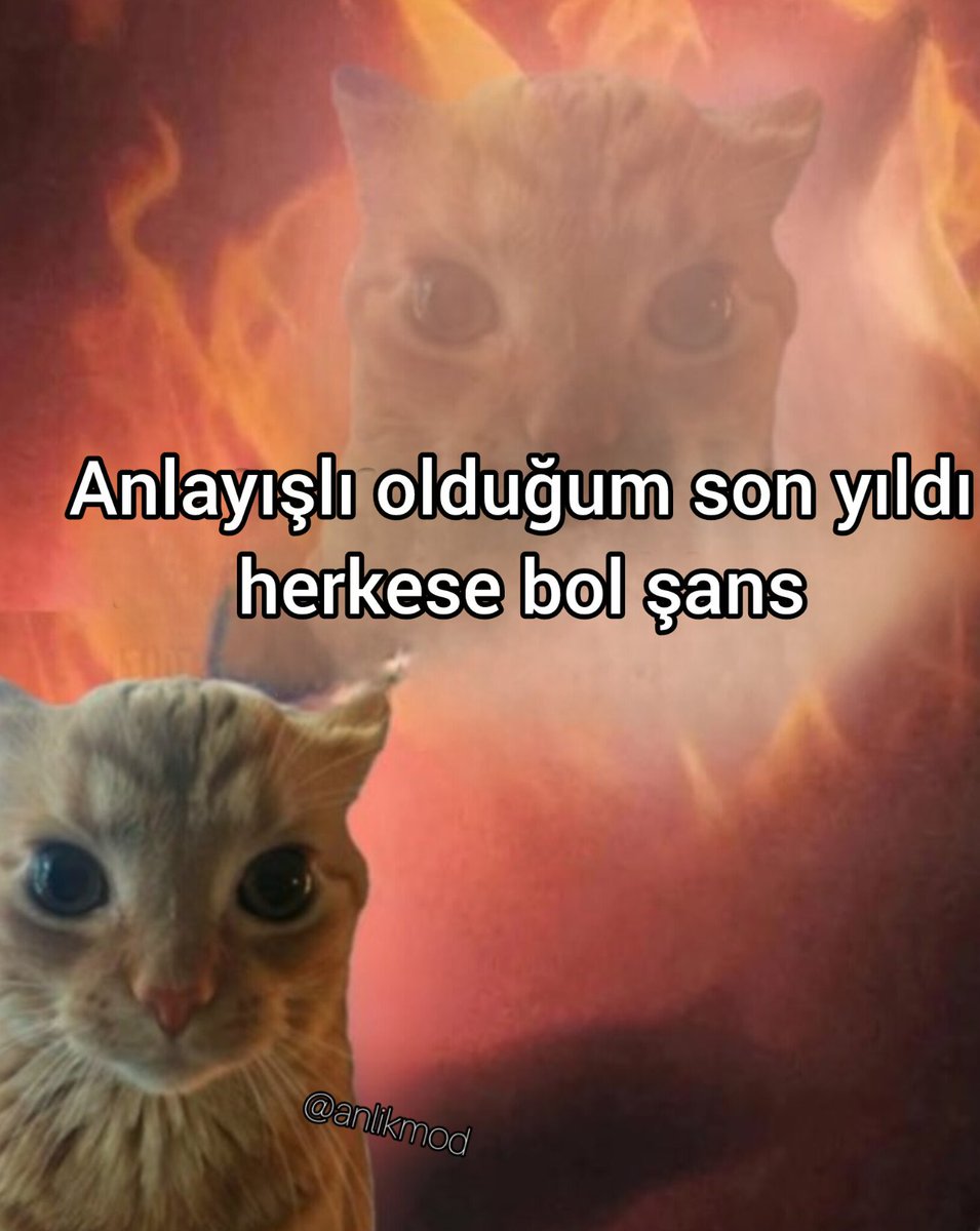 ANLIK (@anlikmod) on Twitter photo 