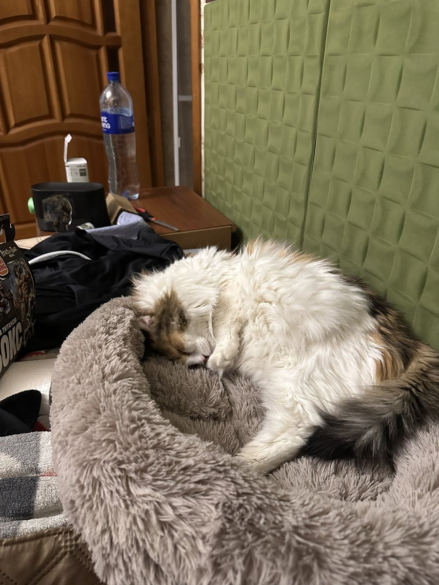 Сама замяла лежанку. Сама обиделась.