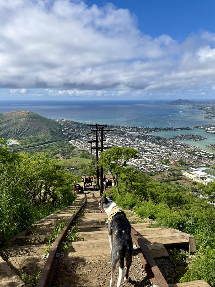 RADICALRP tweet media