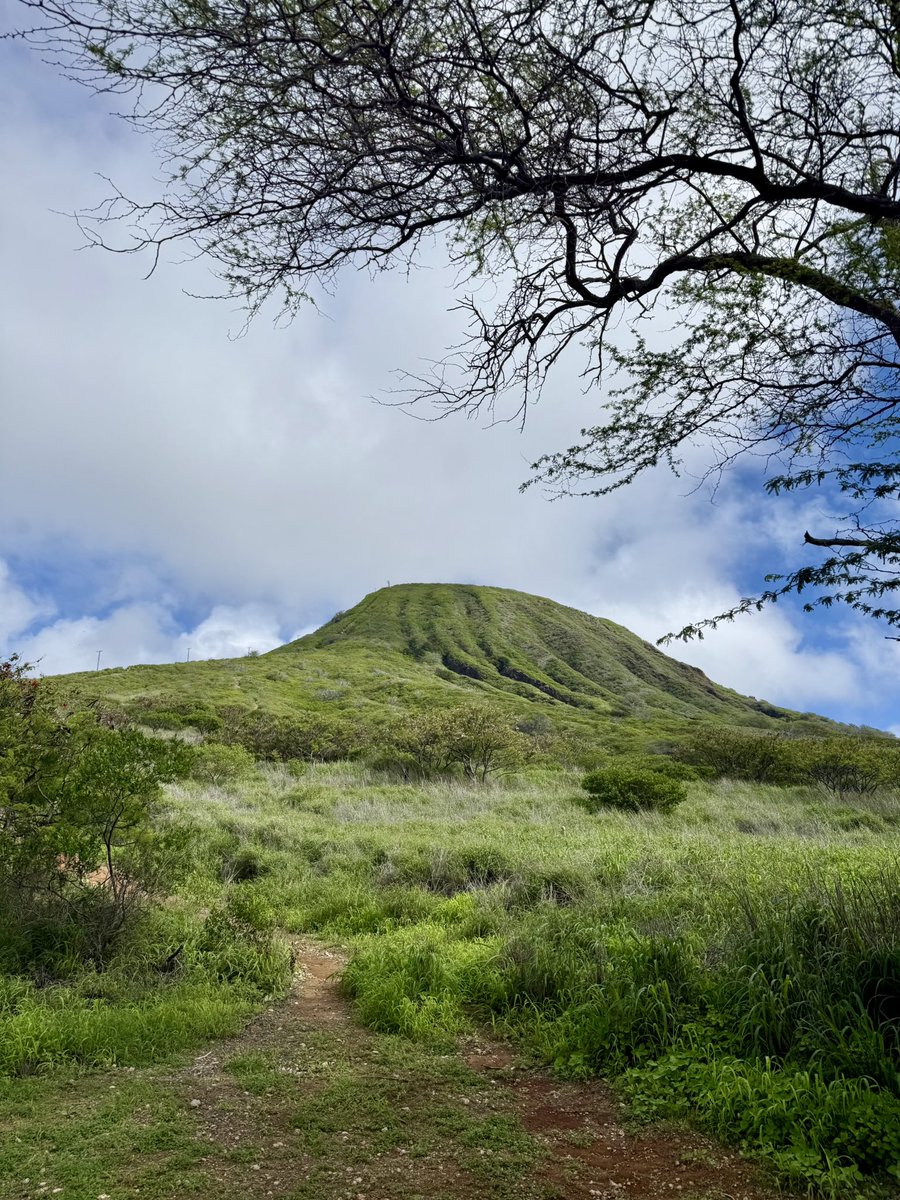 RADICALRP tweet media