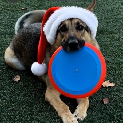 Mike Minihan (@mminihan35662) on Twitter photo 