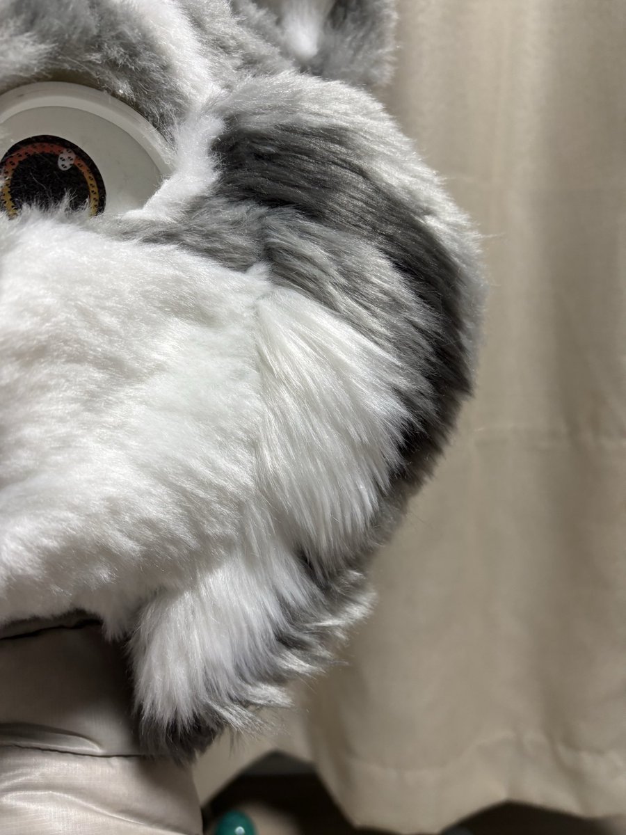 Studio Casty tweet media