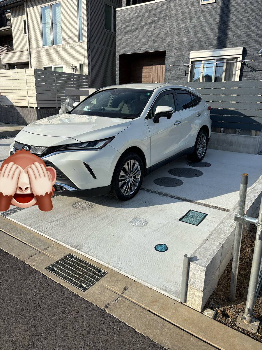 モーガン tweet media