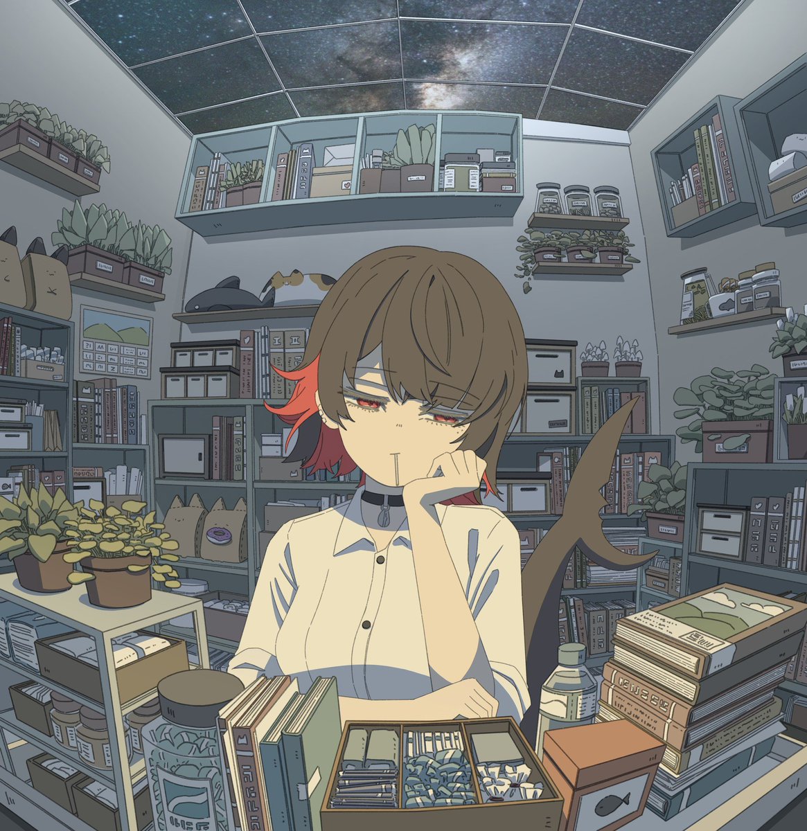 本本貓 tweet media