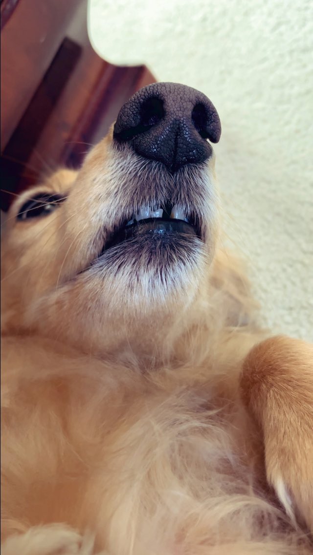 アーサー (@chan0518mini) / Posts / X