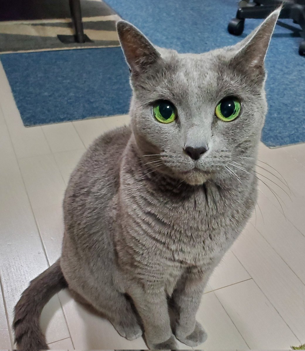 あゆくん（感謝） みなさん 今年もお世話になりました(ᴗˬᴗ)♥ 来年も素敵な年になり