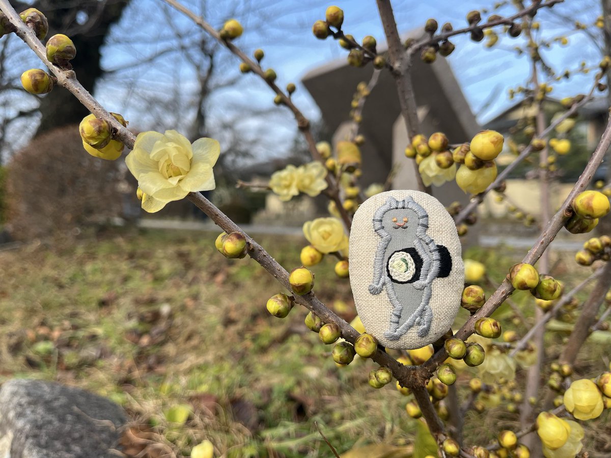 はるたぬ tweet media