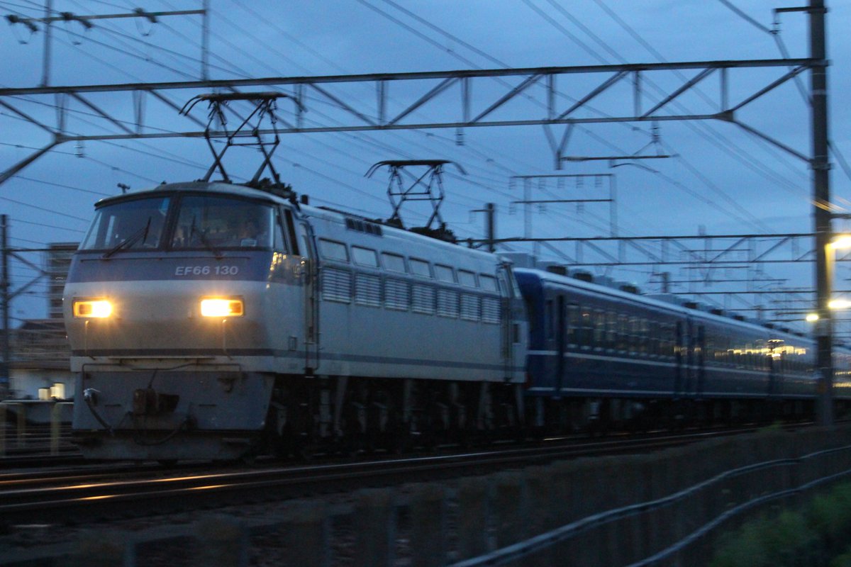 2025年自分が選ぶ今年の4枚 今年も色々撮影しましたね～ 投稿への反応