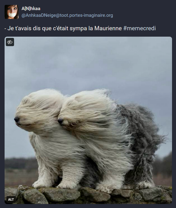 Memecredi tweet media