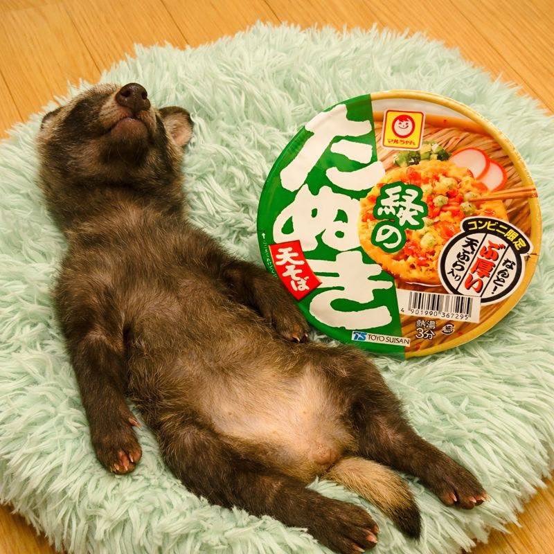 お値下げしました　⭐︎飾り壷 mihoshi _handmade☆水引と雑貨 (@HandmadeMi35154) / Posts / X