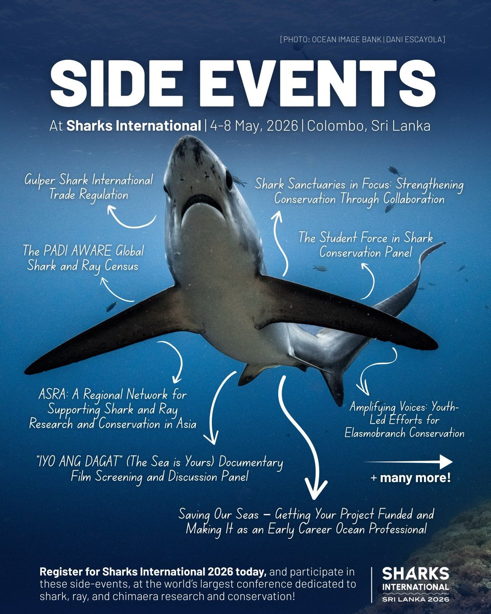 Sharks International 2026 tweet media