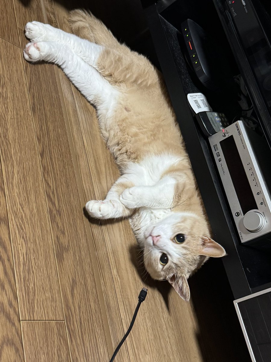 くろにい (@9621works) / Posts / X