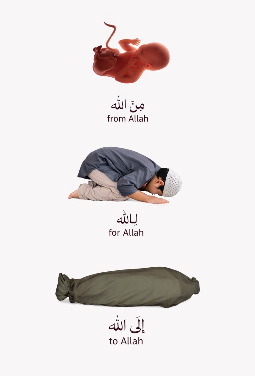 Al__Quraan's tweet image. مِنَ اللَّهِ، لِلَّهِ، إِلَى اللَّهِ
“From Allah, For Allah, To Allah.”