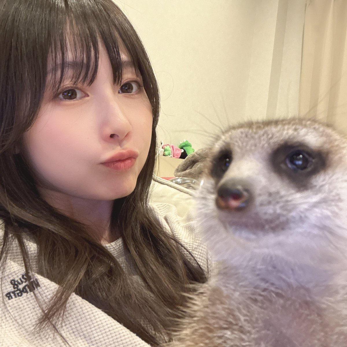 SHIHO tweet media