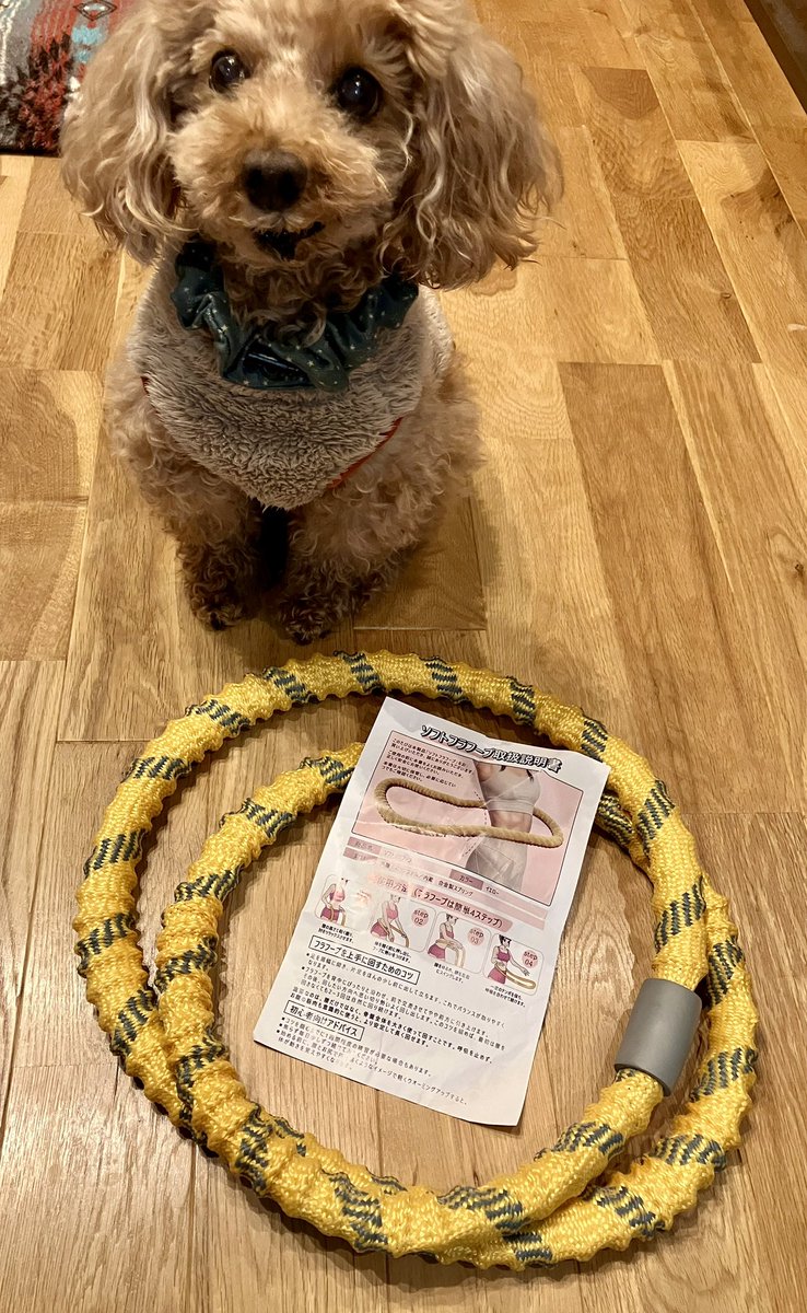 ダッフィー‎ᐡˊﻌˋᐡキャンプ@ゆきちゃんねる (@usa_vichi) / Posts / X