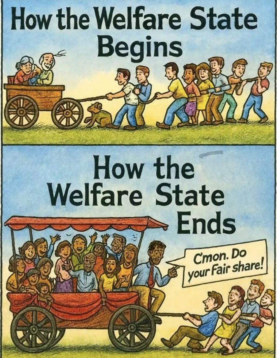 Farm Girl Carrie 👩‍🌾 tweet media