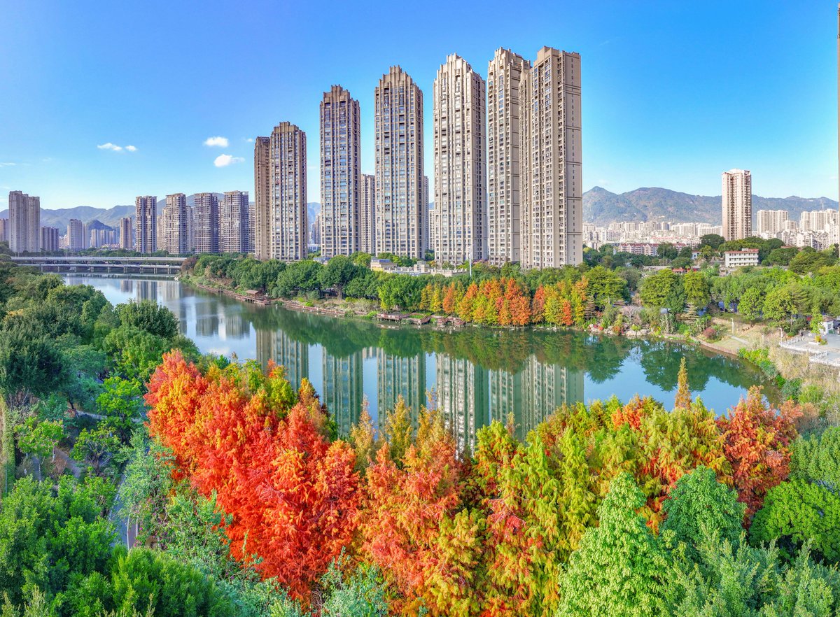 HolaFujian's tweet photo. 😍 🍂 It's the perfect time to admire the metasequoias! 🧡
Currently, Qinting Lake Park in Fuzhou is experiencing the best period for viewing these trees. The vibrant orange-red hues are bold and striking, making it a top winter photo destination in Fuzhou! 📸 🥰
#Metasequoias #Winter #Fuzhou #RefreshingFujian
@FuzhouCity @CCGBelfast @ChinaEmbGrenada
@QiushiJournal @SeeChangchun @zhang_heqing
@uatcnews @cultureCHN @UNEP @CNYouthDaily
@yuexuankanyue1 @Logan_ology @SilkRoadTravel_
@libelula_group @iloveguizhou @ChnConsulateNag
@ChinaCG_HH @salahzhang @consulat_de @ihenan_