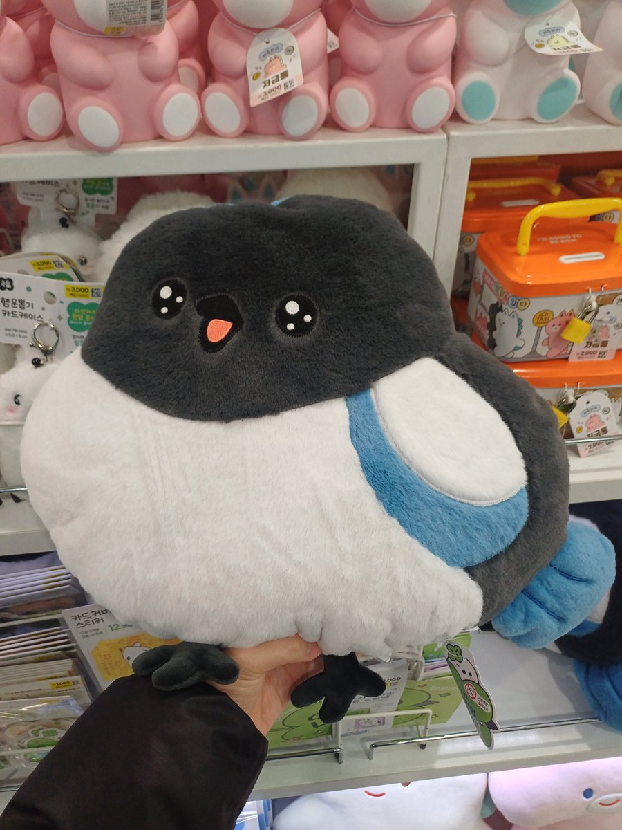 다이소 신상 까치인형쿠션이 무지막지하게 귀엽다는 사실을 알립니다...저는 보자마자 사버렸습니다