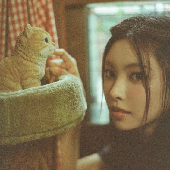 veinsofstone's tweet image. ͏

͏

͏

͏

͏

͏

͏

͏

͏

͏

͏

͏

͏

͏

͏

͏

͏

͏

͏

͏

͏

͏

͏

͏

͏

͏

͏

͏

͏

͏

͏

͏

͏

͏

͏

͏

͏

͏

͏

͏

͏

͏

͏

͏

͏

͏

͏

͏

͏

͏

͏

͏

͏

͏

͏

͏

͏

͏

͏͏

͏

͏

͏

͏

͏

͏

͏

͏

͏

͏

͏

͏

͏

͏

͏

͏

͏

͏

͏

͏

͏

͏

͏

͏

͏

͏
ᅠᅠᅠ