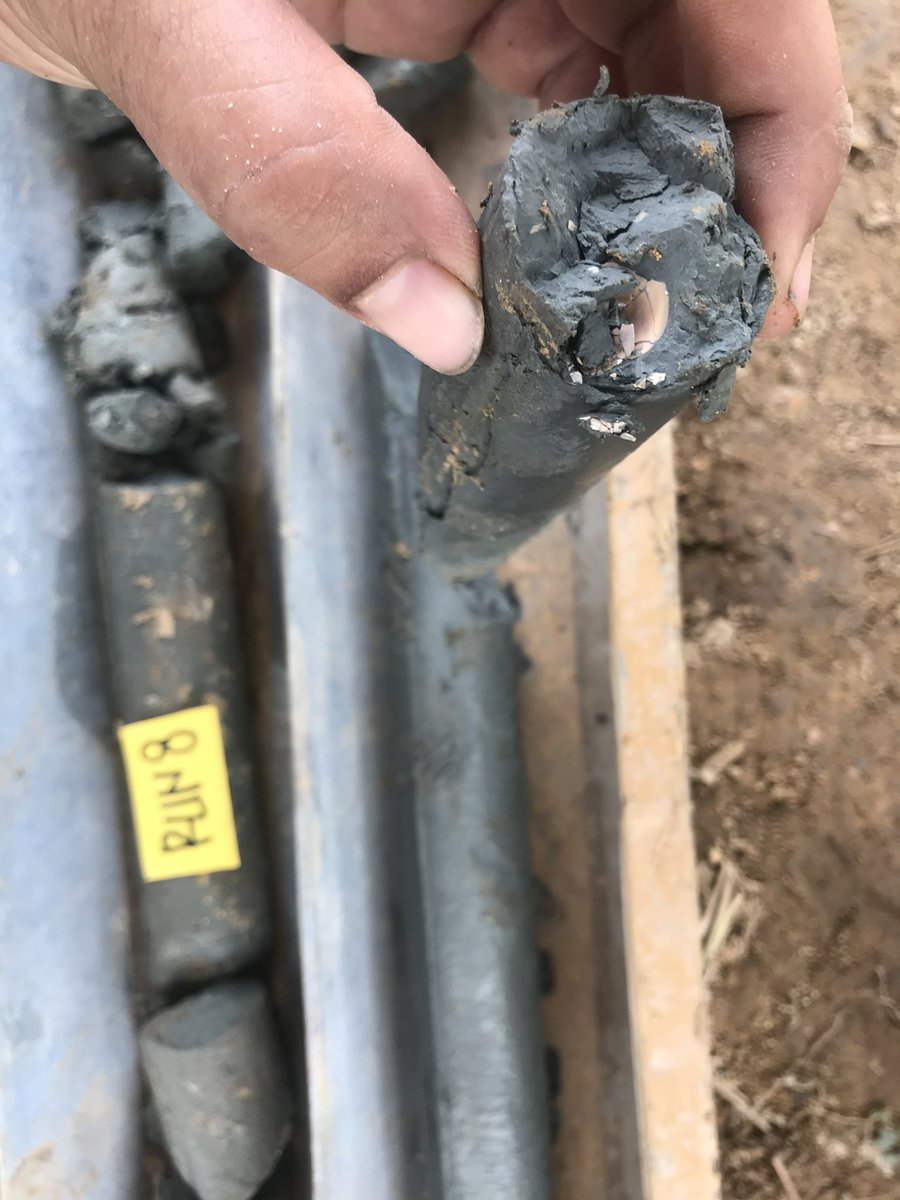 Kevin Sebastian tweet media