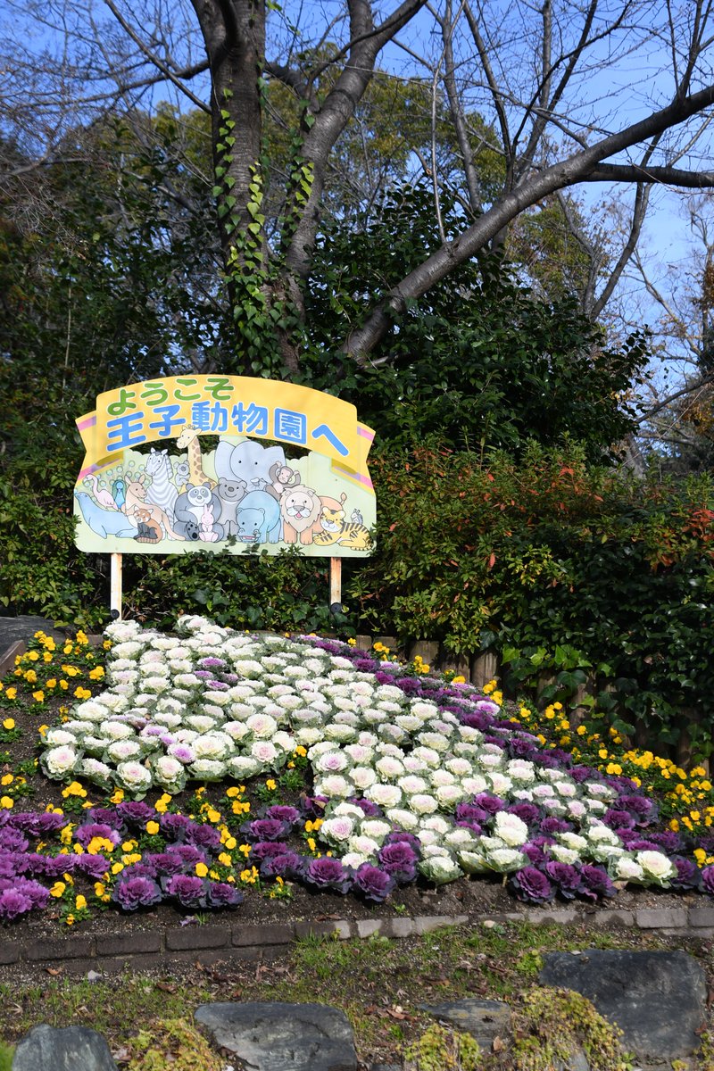 🎍✨新年あけましておめでとうございます✨🎍 #王子動物園 は 1月2日