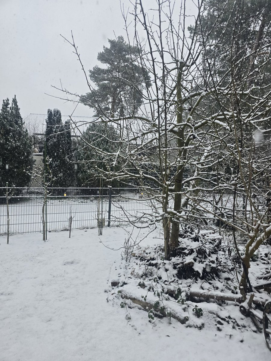 Angelika tweet media