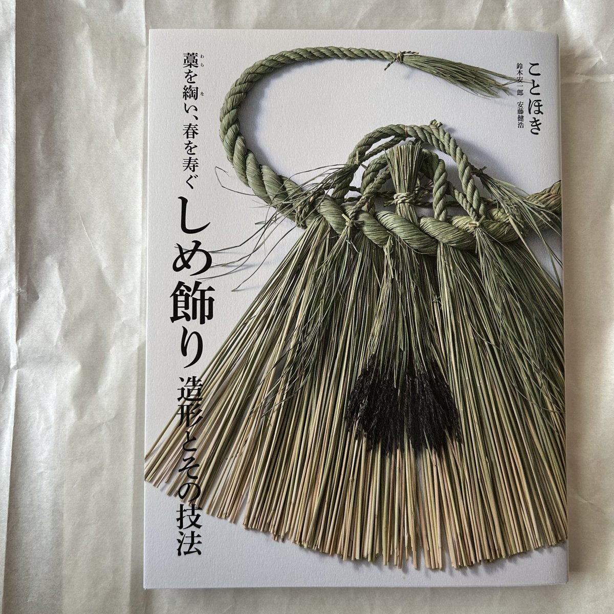 横井まい子 tweet media