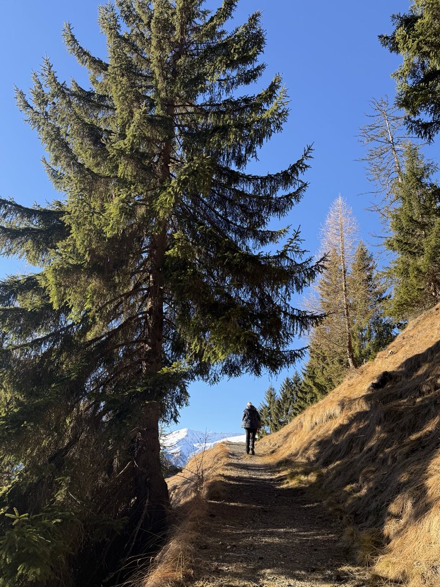 Ruhe genießen, Kraft tanken - bevor wir in ein spannendes neues und für unsere AfD erfolgreiches Jahr starten. Euch einen guten Rutsch!