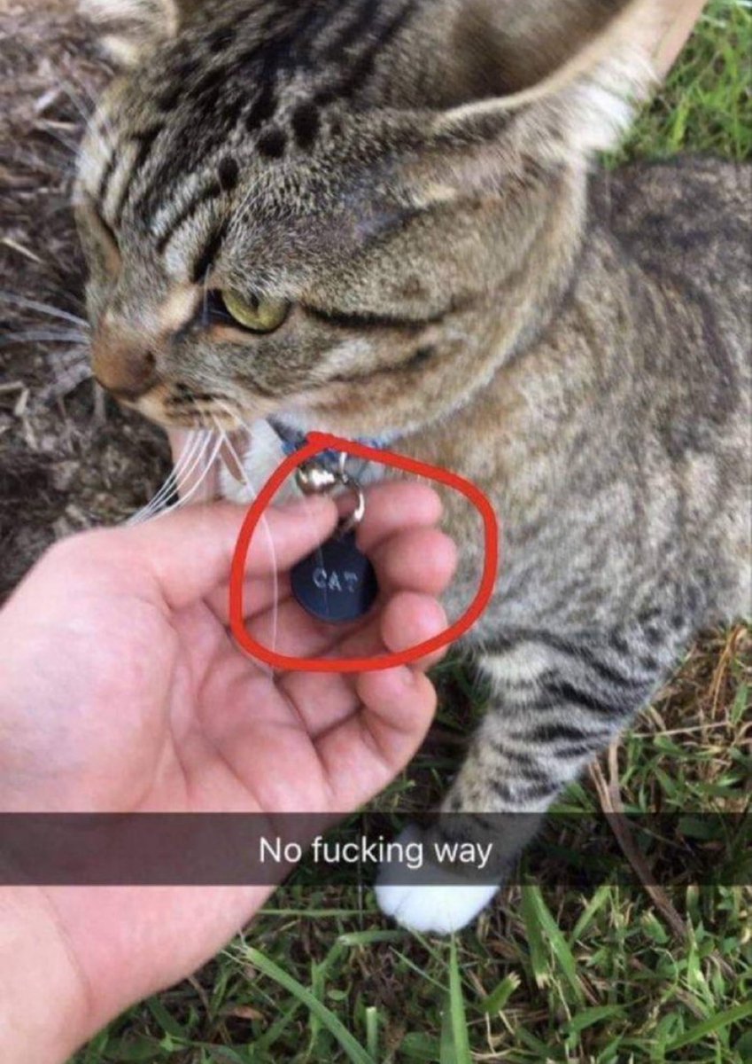 Respectful Memes (@respectfulmemes) on Twitter photo 