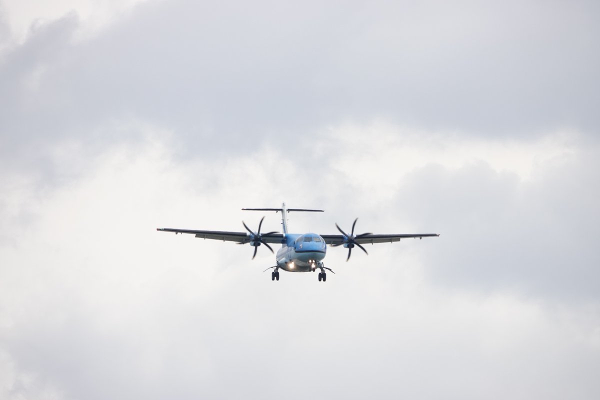 三代　MAIONE  ライン 2025年11月18日 11:53 天草エアラインMZ801🐬 ＃天草エアライン