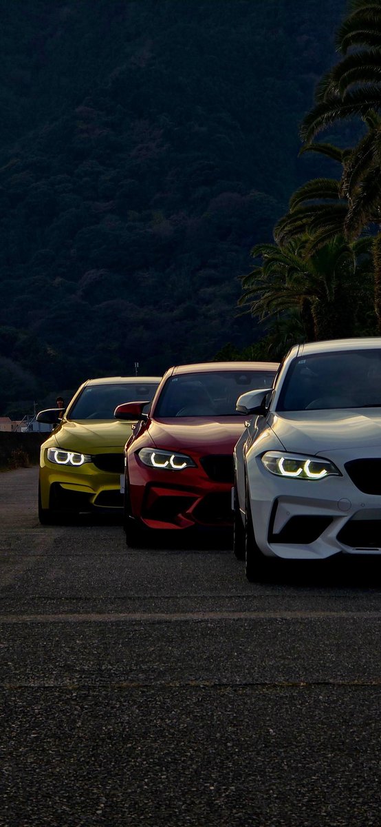 M4×M2competition