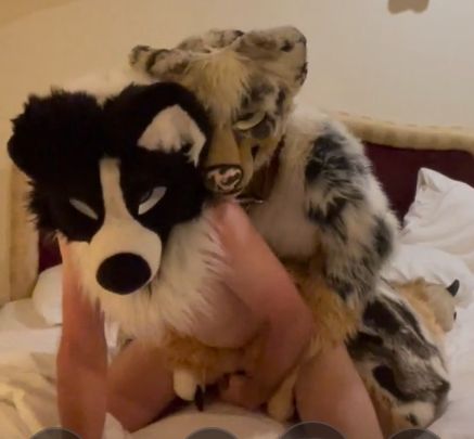 My NZ trip had some big ups and big downs but getting to stuff my fat knot under <a href="/thatjumpingdog/">Hendrix</a> 's tail was definitely one of the highlights! Should have some fun clips to post once I get my phone back from the repair shop!