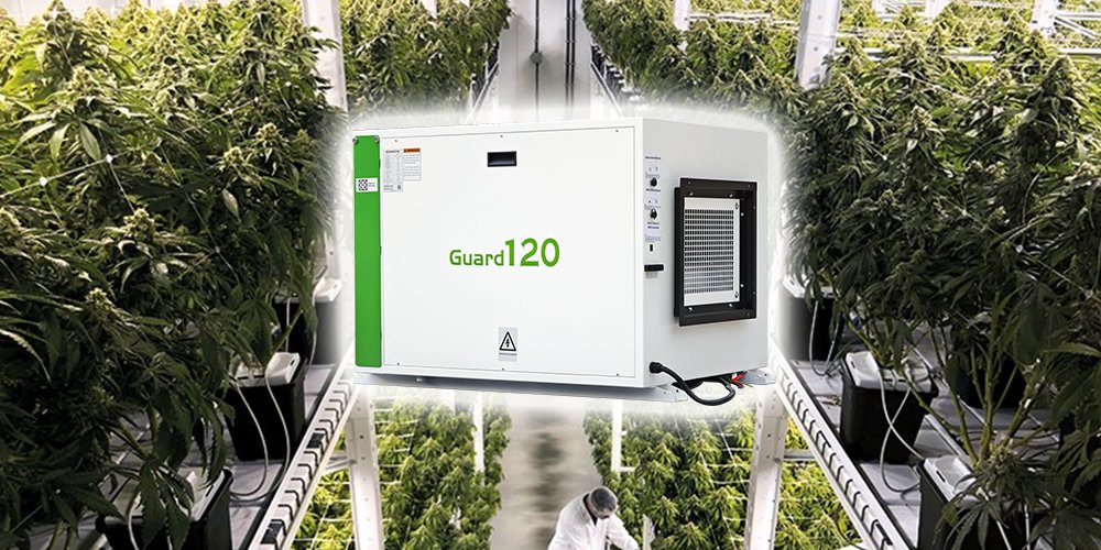 The newly developed Guard120 dehumidifier by Preair is specially designed for plant growth.🥳🥳🥳
Choosing the right size dehumidifier is critical to effectively controlling moisture.🦾🦾🦾
Get a free quote now!📧📧📧