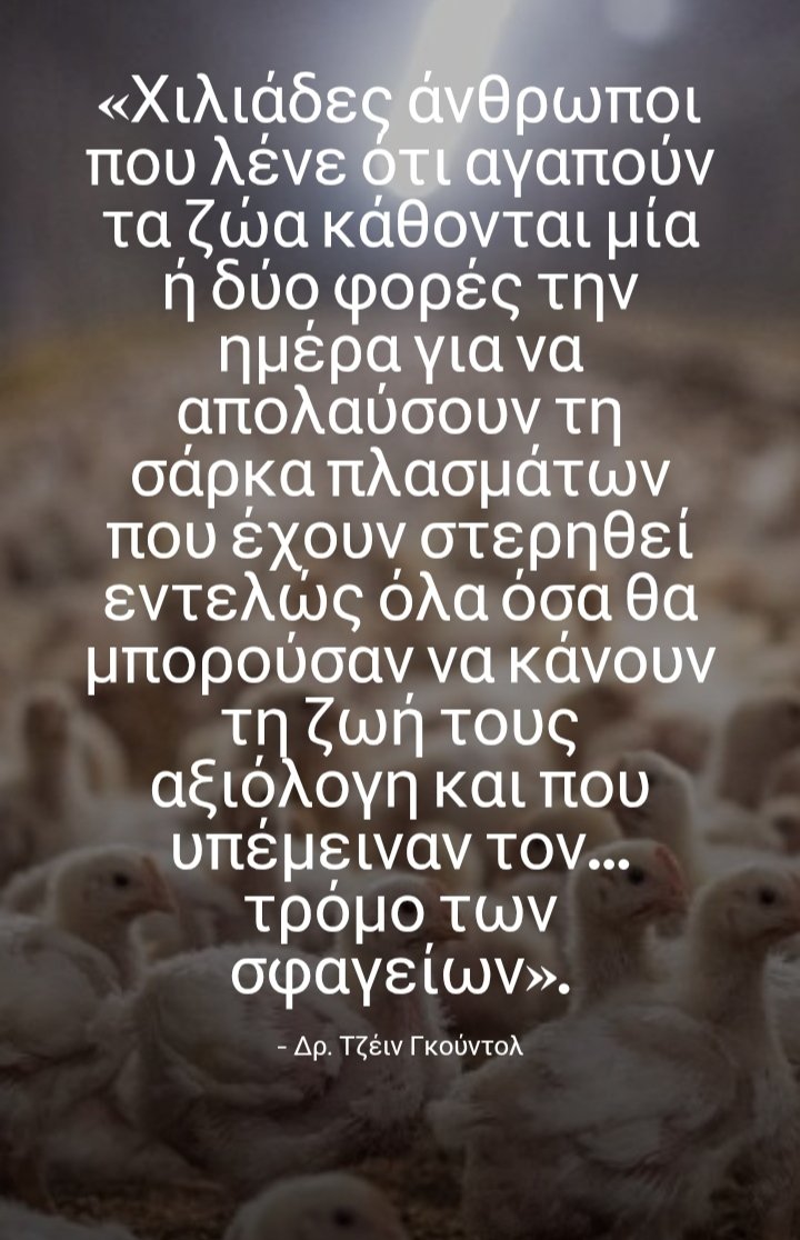 #endspeciesism
Οι αγελάδες, τα γουρούνια, τα κοτόπουλα, τα ψάρια και άλλα ζώα που αιχμαλωτίζονται ως τροφή του ανθρώπου –αν και σκέφτονται, αισθάνονται και θέλουν να ζήσουν– βιώνουν συνθήκες δυστυχίας ώς τη σφαγή τους στις κτηνοτροφικές μονάδες σε όλο τον κόσμο.