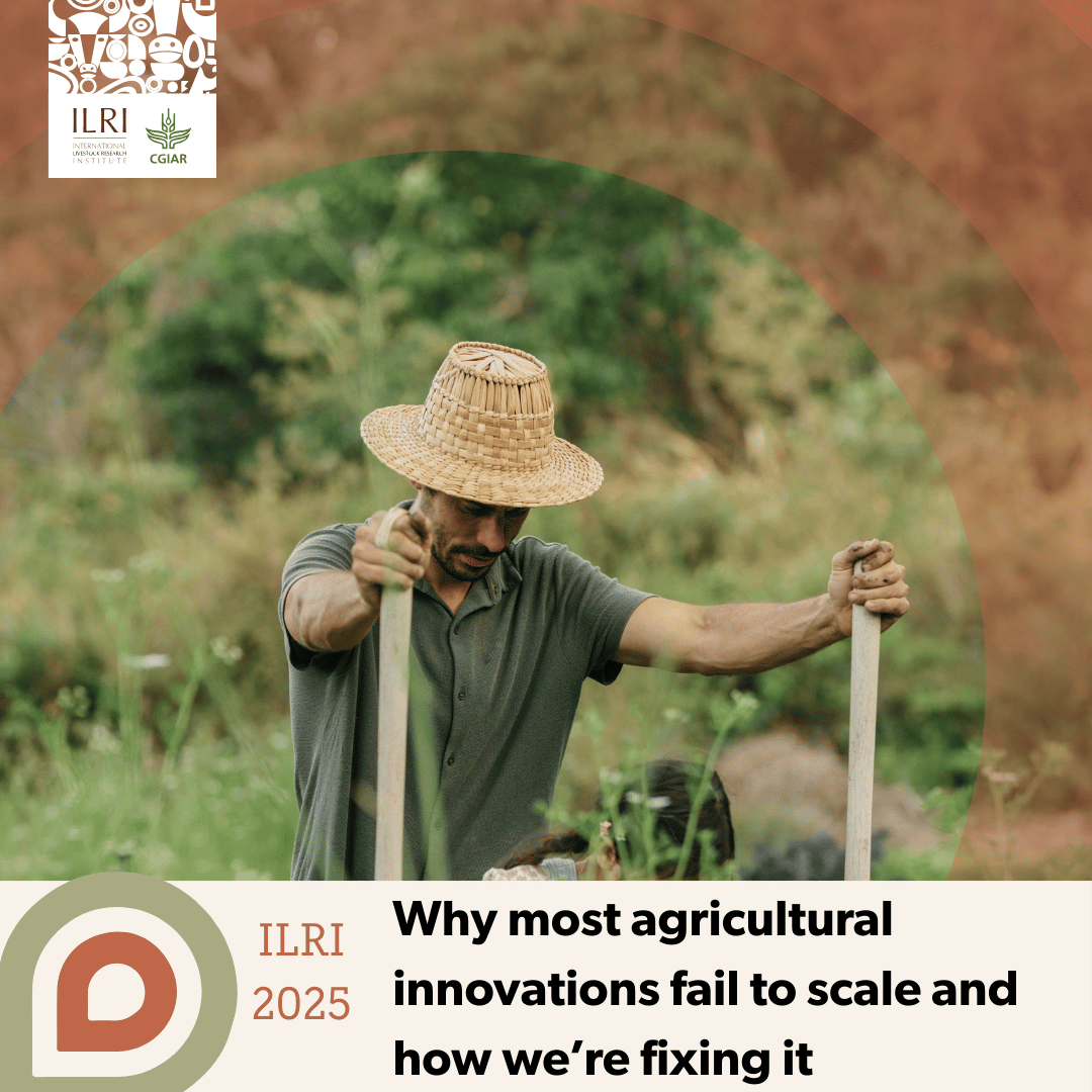 ILRI.org tweet media