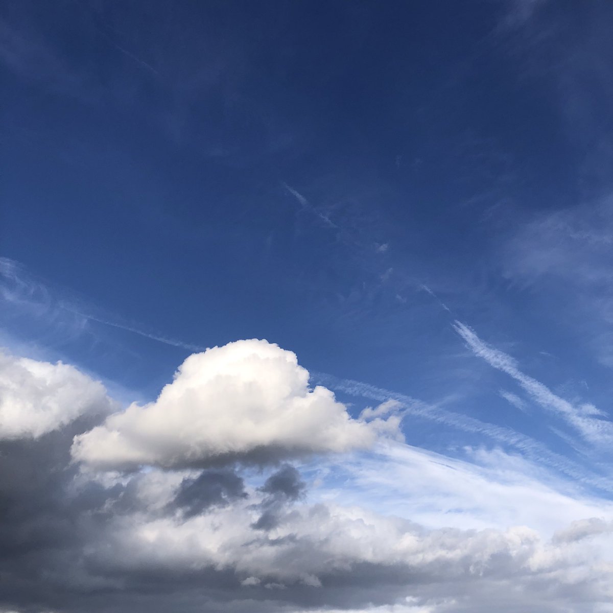 Square (@Bandit81639138M) / Posts / X