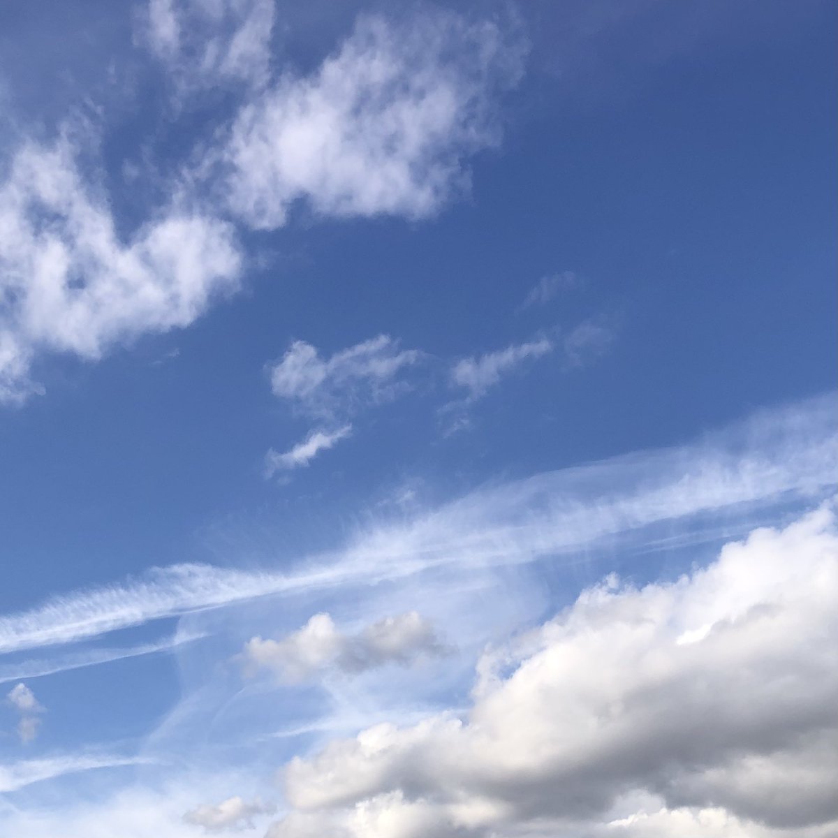 Square (@Bandit81639138M) / Posts / X