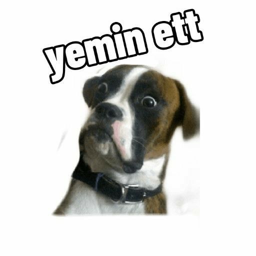 2026 çok güzel olacak, enflasyon yok, pahalılık yok, kriz yok 👇👇👇