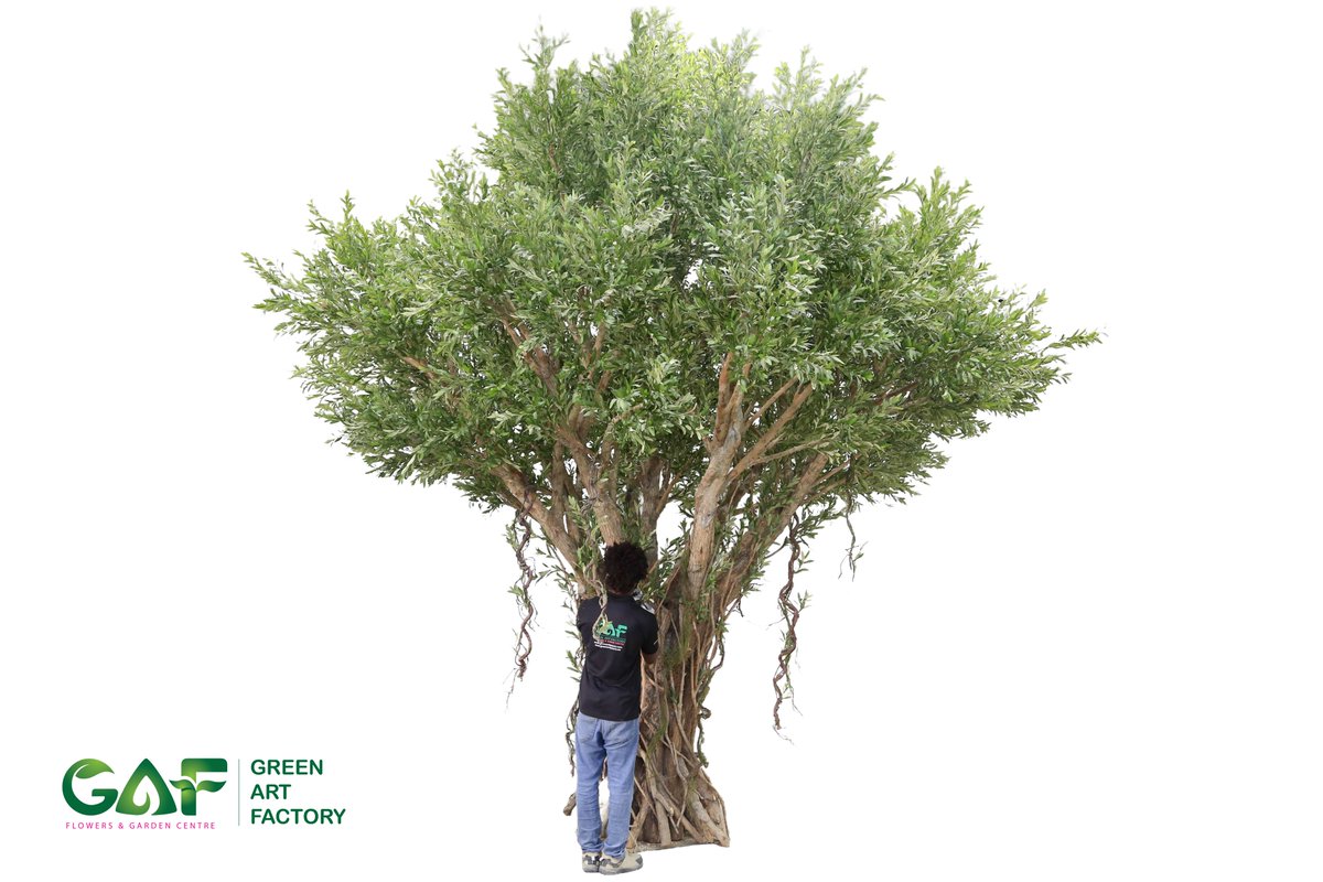 Greenmosswall's tweet photo. 🌿 For Sale | Custom-Made Olive Tree 🌿

🌐 https://t.co/1sJLxb5GSD
☎ Voice/WhatsApp: +971 56 95 88 315
📧 info@greenartfactory.com

#OliveTreeForSale #CustomMadeTree #LuxuryGreenery #StatementTree #ArchitecturalGreenery #ArtificialOliveTree #UAEInteriors #DesignFeature https://t.co/vcd0VE6gGR