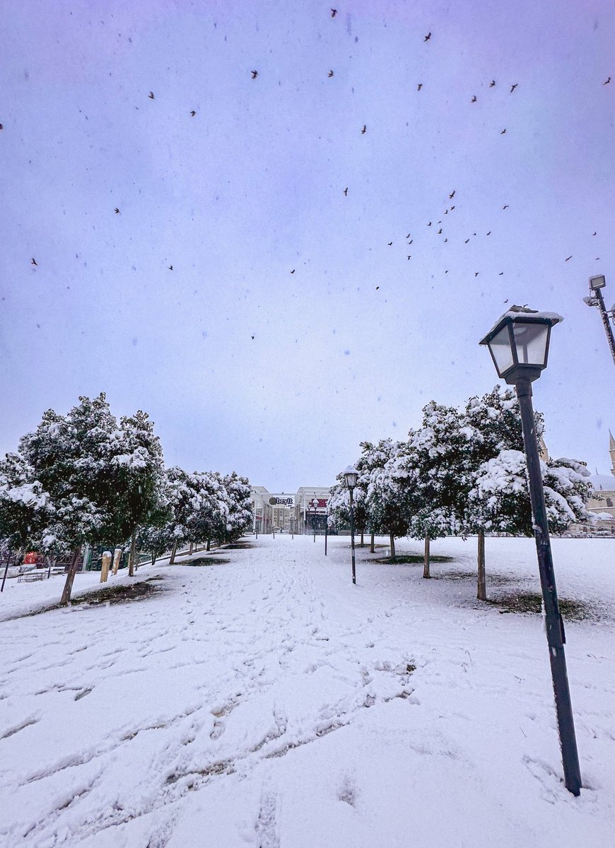 NurDolu's tweet photo. Aralık 2026, #urfa 📍 https://t.co/tf1y2Gl23a