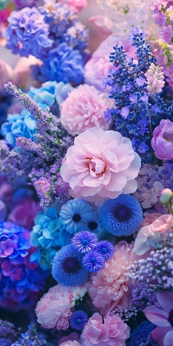mshafqat72's tweet photo. Wishing you a day that flows with beauty, love, and gentle moments 🌺✨🌊
#GoodMorning #FreshStart #MorningJoy #FlowerVibes #CalmAndCozy #EmbraceTheDay #MotivationDaily #PeacefulVibes #NatureSerenity #HappyFeelings #BrightNewDay” https://t.co/KWvtiBvo3U