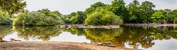 Fine Art Norfolk Photography tweet media