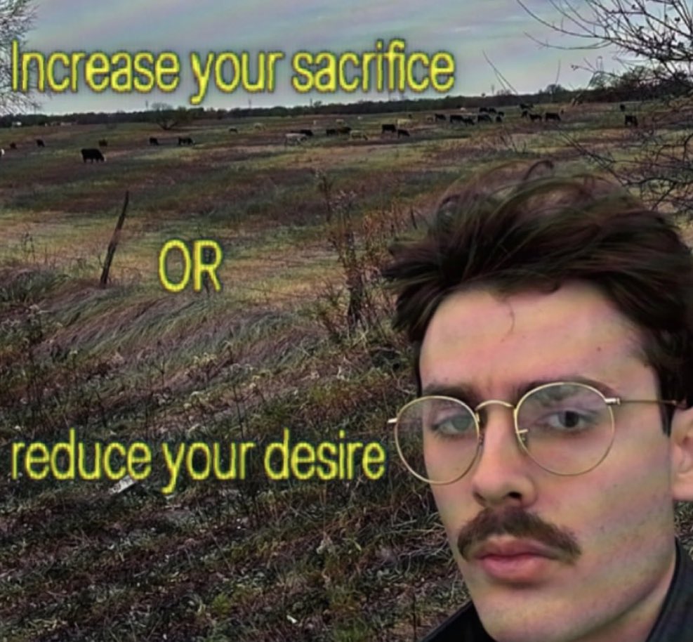 amritwt's tweet image. motto for next year