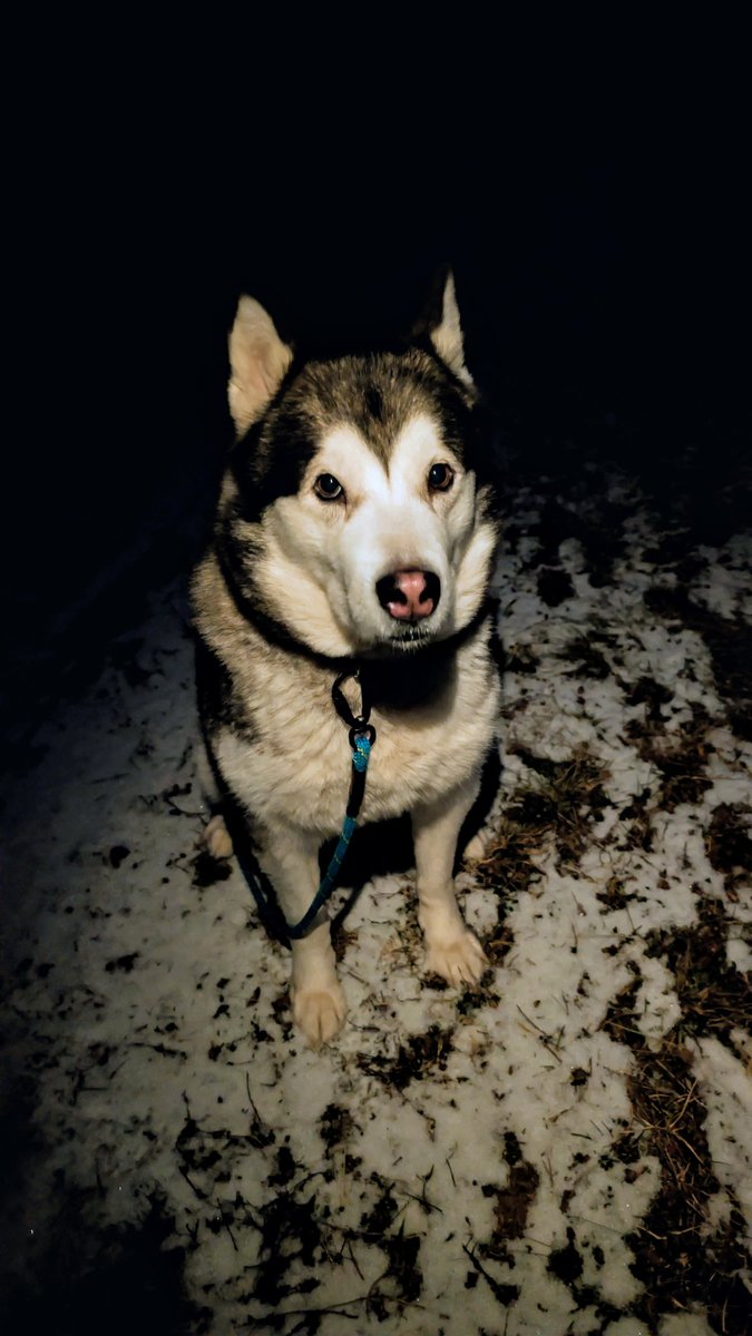 Středočeská Sešívka🇨🇿🇺🇦🇮🇱 tweet media