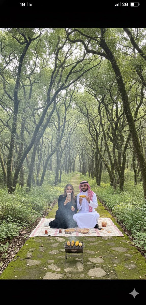 M_3_S_Q's tweet photo. #هند_القحطاني_في_السعودية 
#هند_القحطاني_في_السعوديه
في الباحه في غابة رغدان يشوون حبش ويشربون شاهي https://t.co/ExmremLX2r