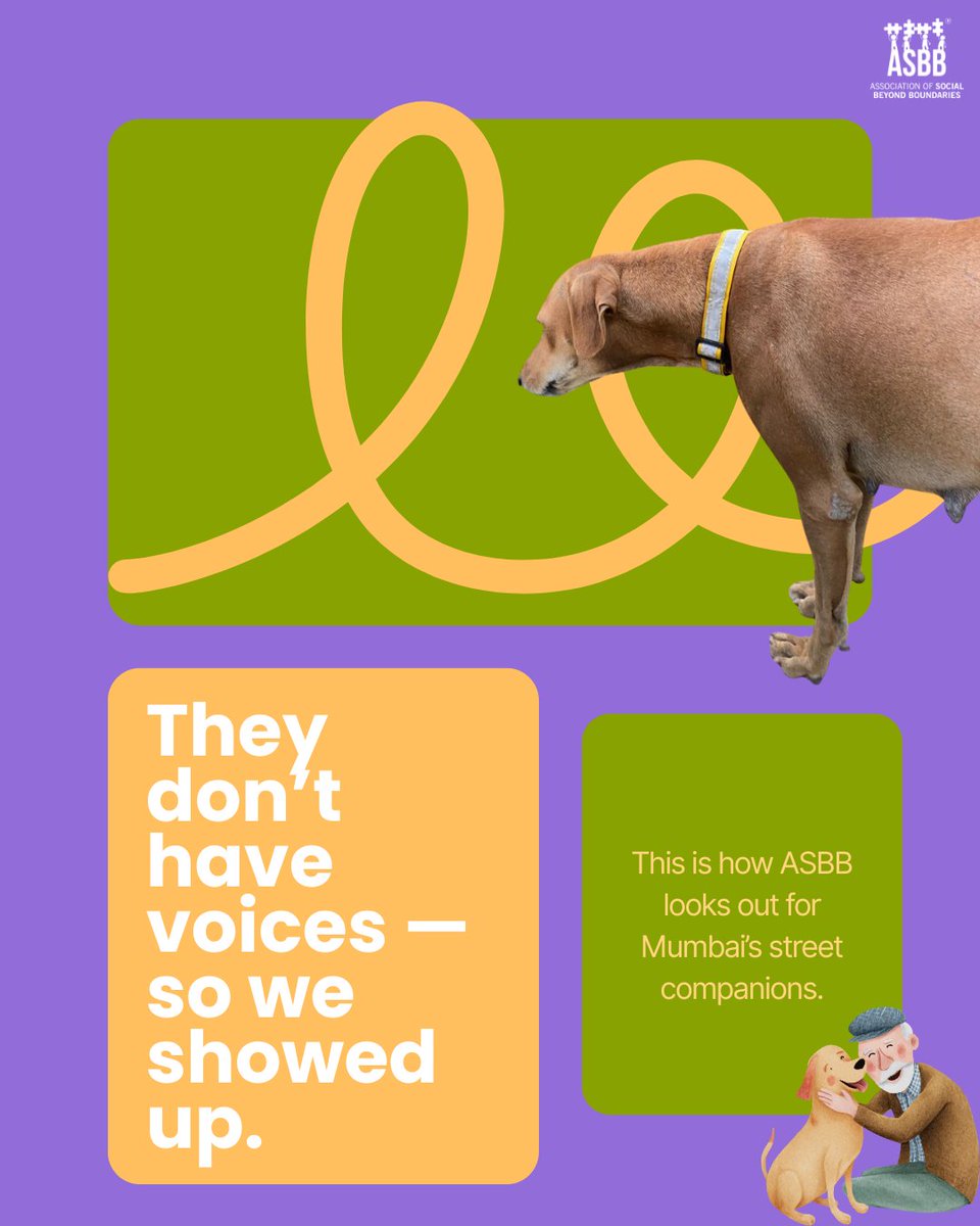 Not all heroes wear capes — some wear reflective collars. 🐶✨
A small step from us, a safer night for them.

Because at ASBB, community care means everyone 💛