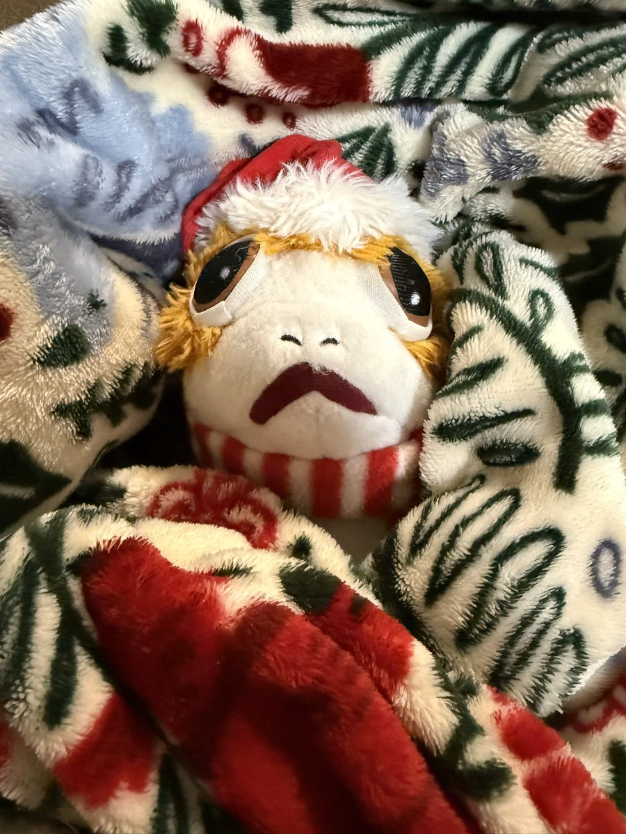 PorgChronicles's tweet photo. Well Day 2 of Porgmas granted some members of our flock the stomach bug… We’ve fallen behind on posting and sending out our Porgmas cards. Rest assured the cards are coming! (And we’ll be catching up on posts soon!) -Porgsettia

#12DaysOfPorgmas #Porgmas https://t.co/Dc56nNj53d